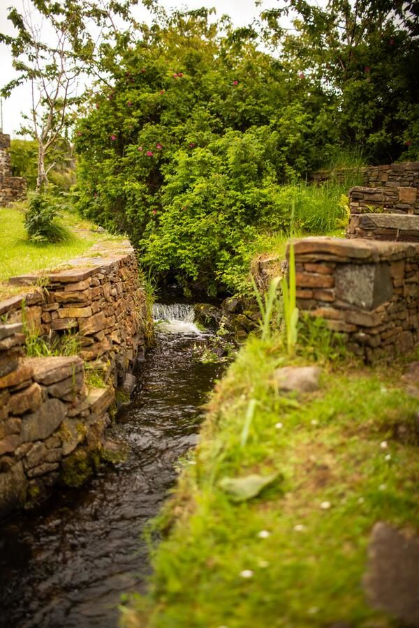 Лоджи Corcreggan Mill Lodge Данфанахи-11